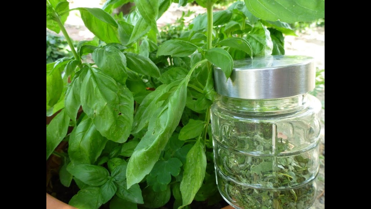Insaporitore erbe aromatiche
