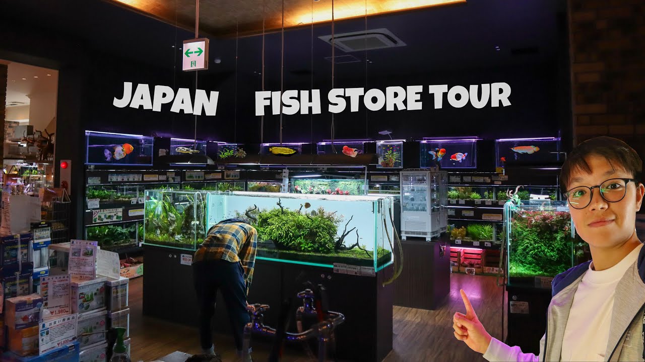ОГРОМНЫЙ РЫБНЫЙ МАГАЗИН в ЯПОНИИ!! Тур Okinawa Bianco ①