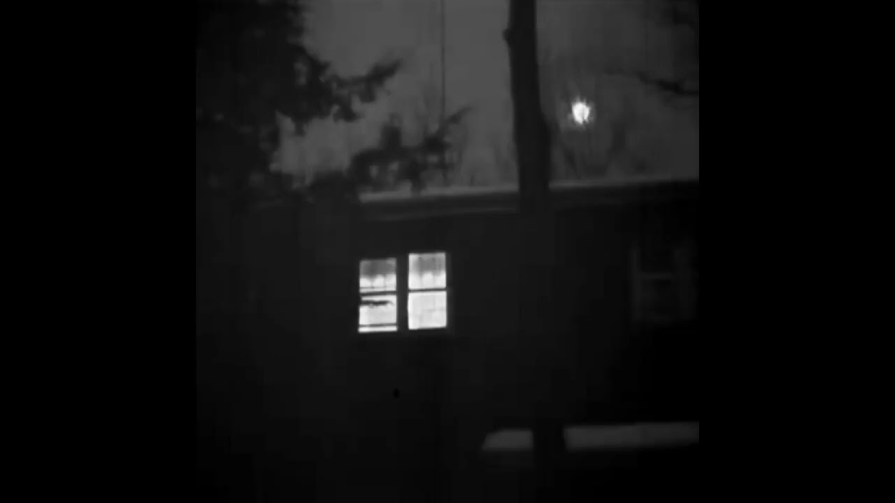 Poems - While The World Is Asleep