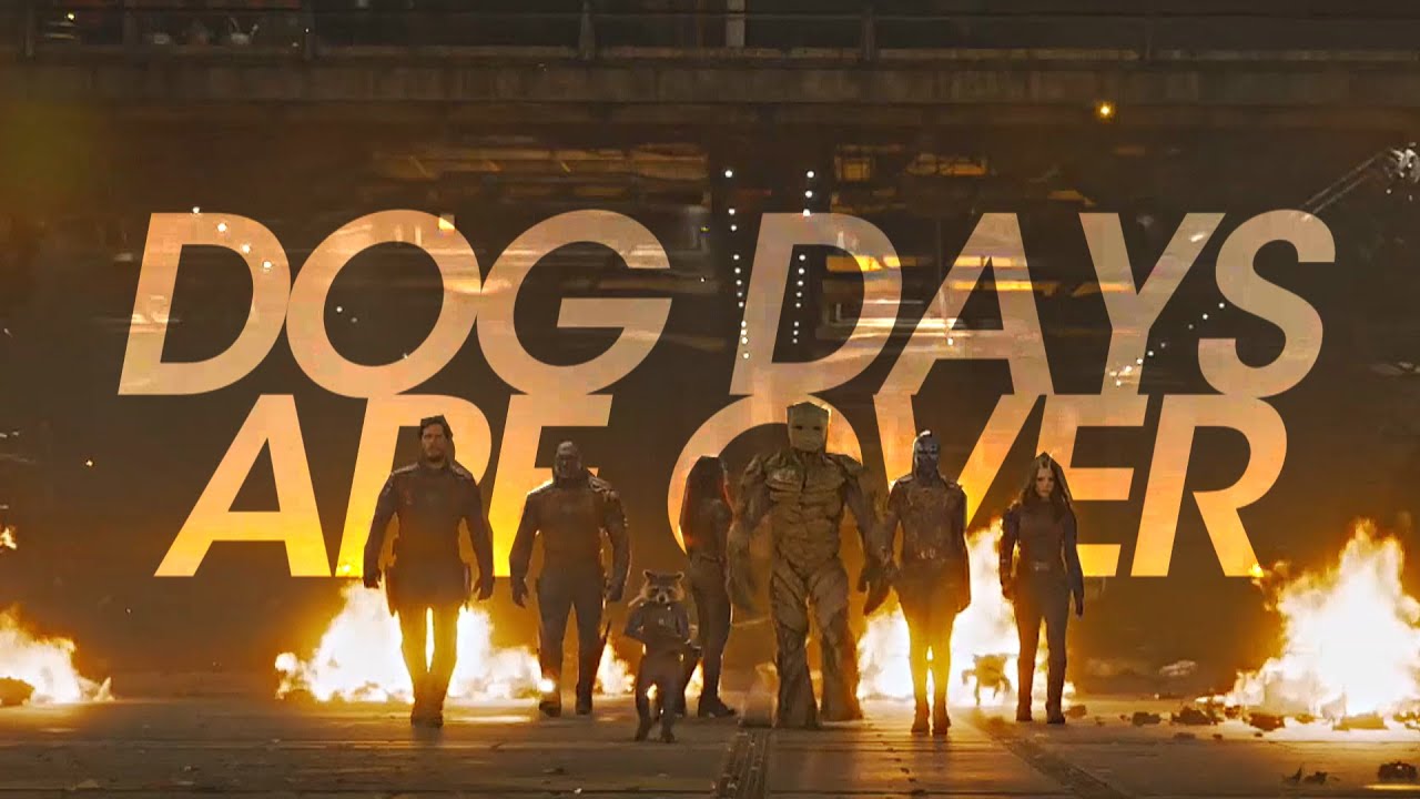MARVEL | Dog Days Are Over