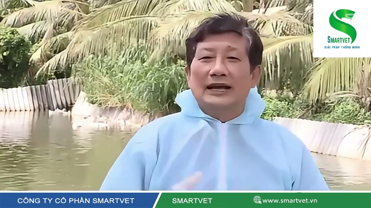 Bệnh lật ngửa tembusu tr&ecirc;n vịt