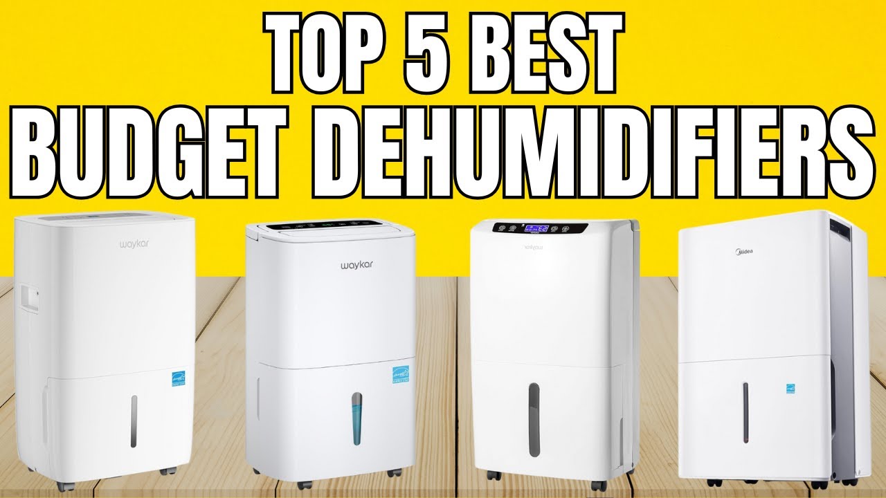 Best Budget Dehumidifiers 2026 – Must Watch Before You Buy One!