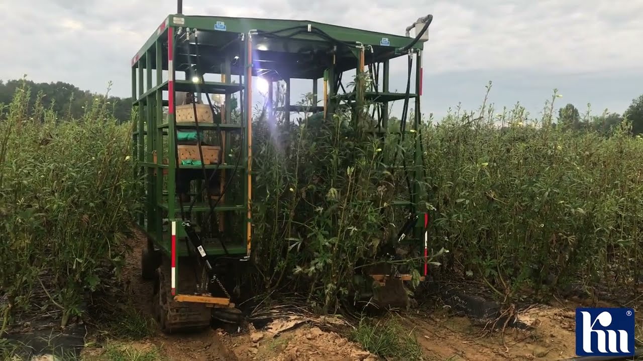 Okra Picker - Kennco