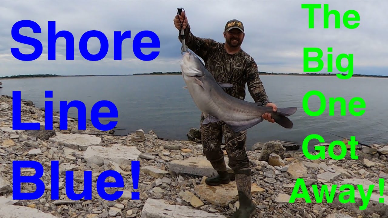 Giant blue cats bank fishing Milford’s