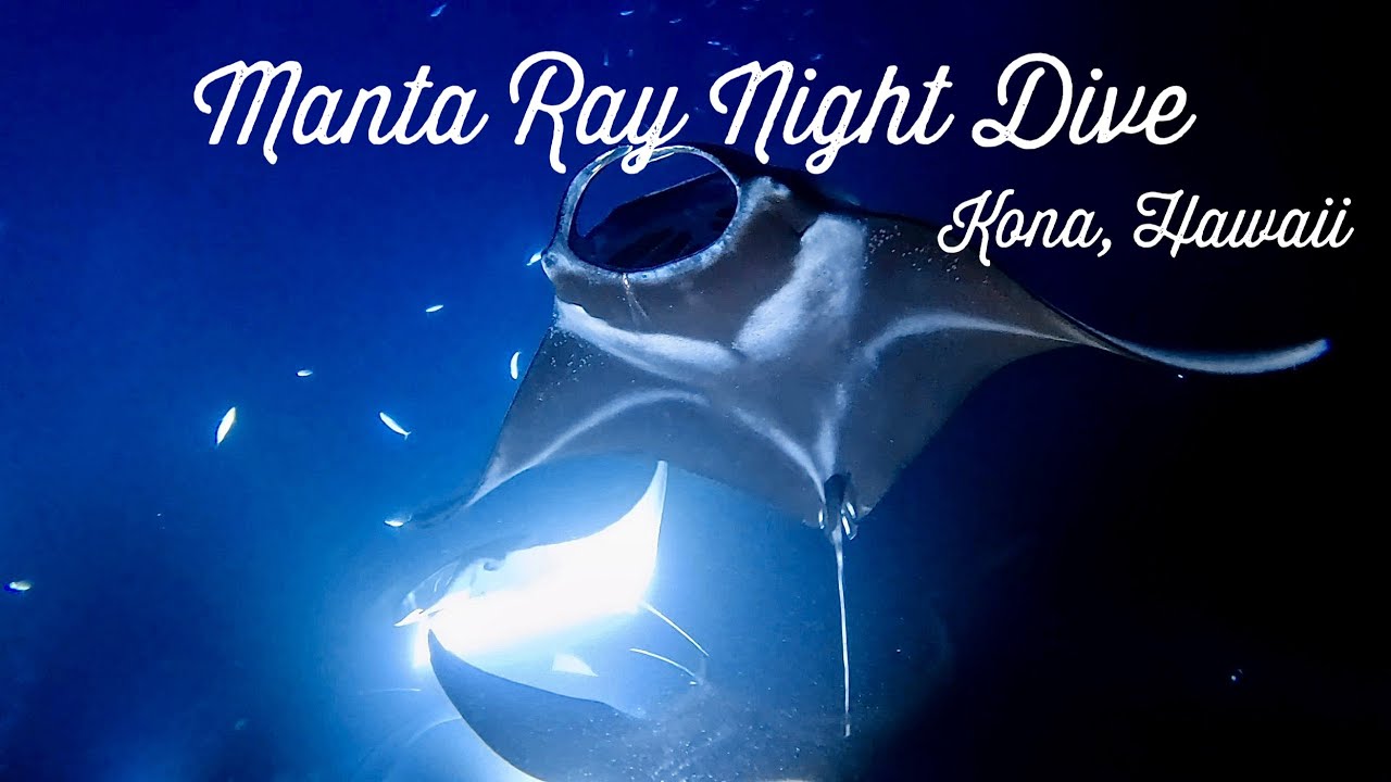 Manta Ray Night Dive, Kona, Hawaii, December 2024 - GoPro Hero13