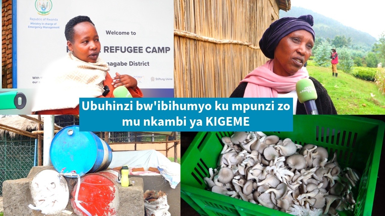 IMPUNZI MU NKAMBI YA KIGEME BARISHIMIRA KO BAFATANYA N'ABANYARWANDA MU MIRIMO Y'UBUHINZI BW'IBIHUMYO