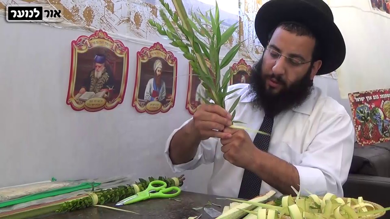 איך אוגדים לולב בצורה קלה נקיה ואסתטית? | חג הסוכות | הרב רביד נגר