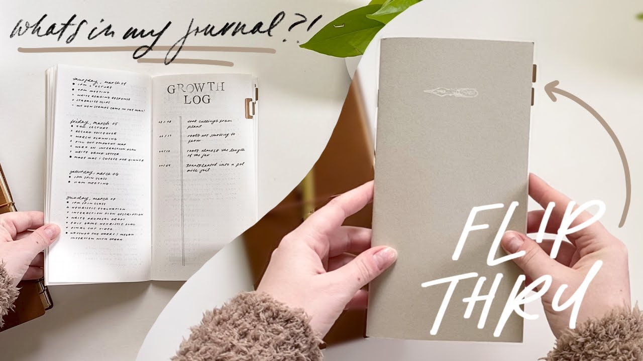 Стандартный блокнот путешественника: обзор моего Bullet Journal с февраля по апрель 2021 г.