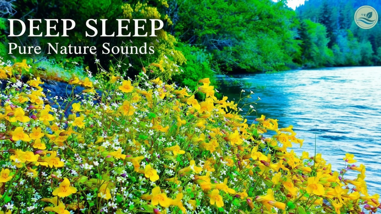 Deep Sleep & Focus: 4K Spring River Sounds 🌊 10 Hours of Peace (Nature ASMR)
