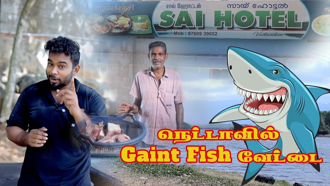 Sai Hotel  Kappa, Pazham kanji, Meen Sapadu 💥💥  Netta, Kanyakumari. Must Watch Bfore Going to Netta.