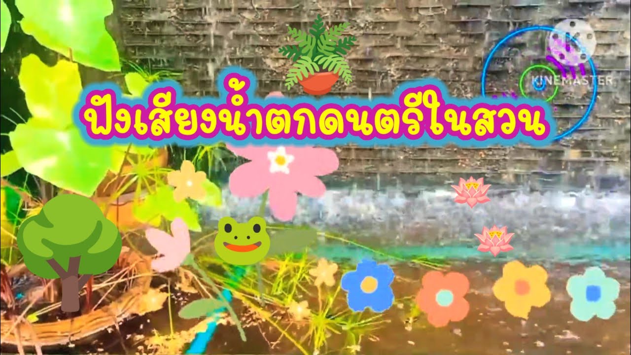 พักผ่อนหย่อนใจ ผ่อนคลายด้วยเสียงน้ำตกและเสียงดนตรี