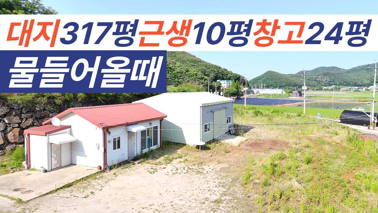 매물199번 강화 영종간 평화도로 동주농장앞 2차선대로 진짜 물들어옵니다 #강화도토지 #전원주택