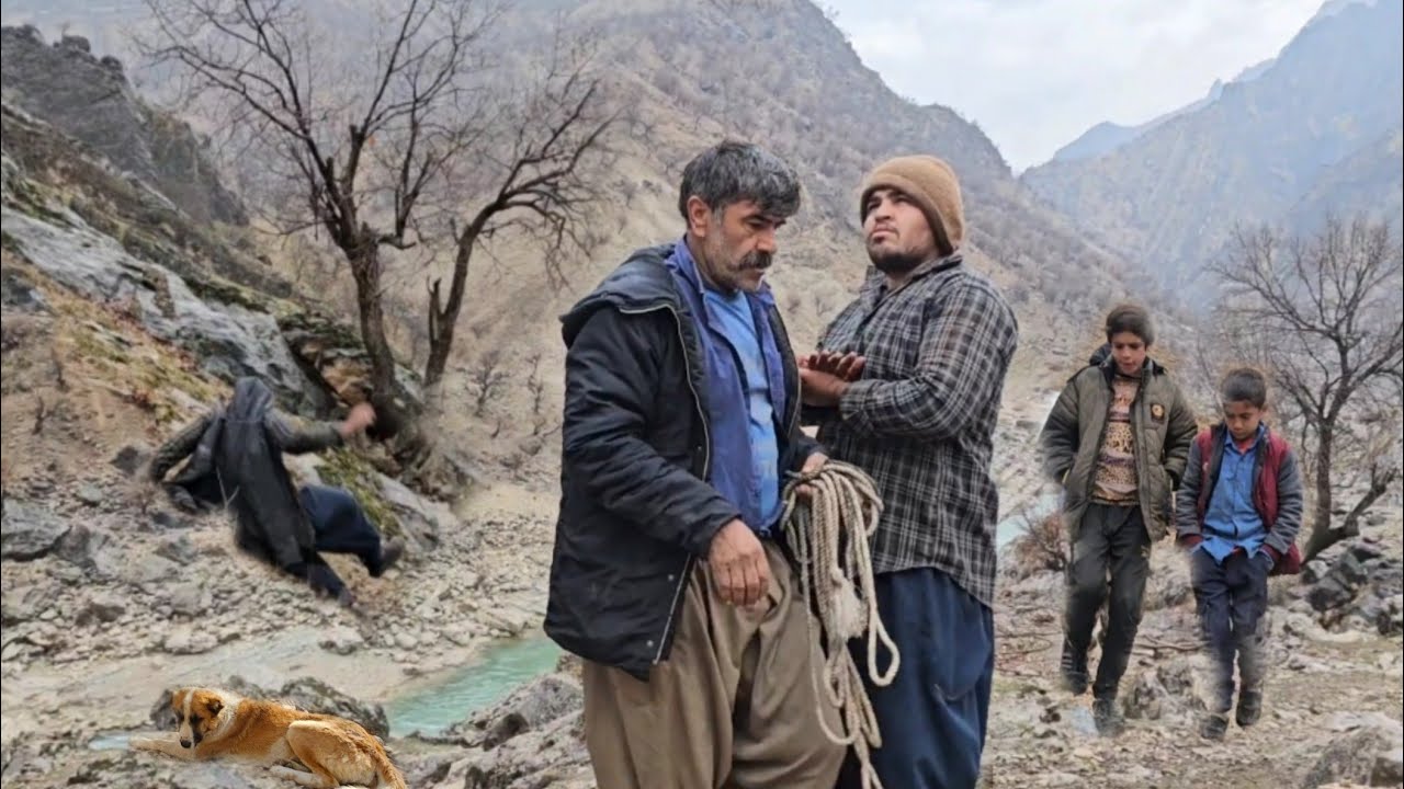 Hard nomadic life in the mountains  Shepherd and goats are caught in torrential rain ☔🐐