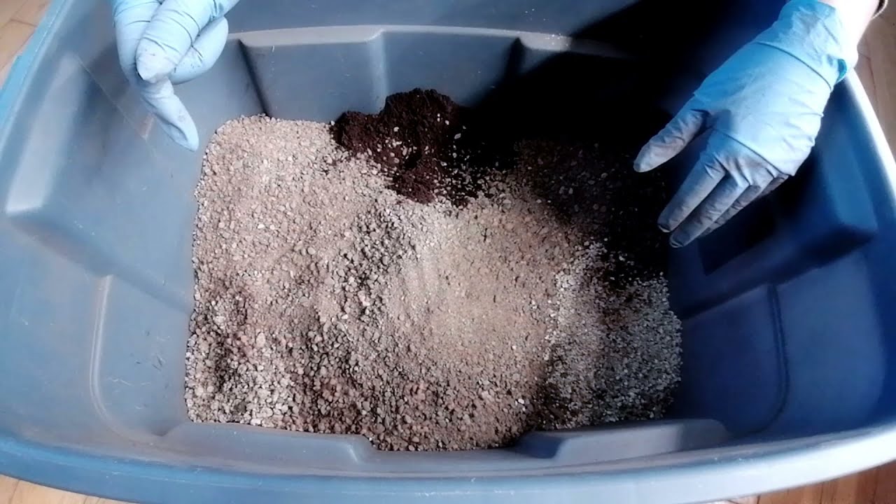 Adult Lithops soil mix