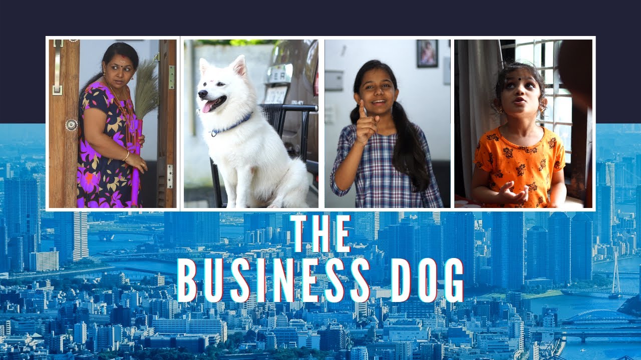 ദി ബിസിനസ്സ് ഡോഗ് | The Business Dog | മലയാളം കോമഡി ഷോർട്ട് ഫിലിം.