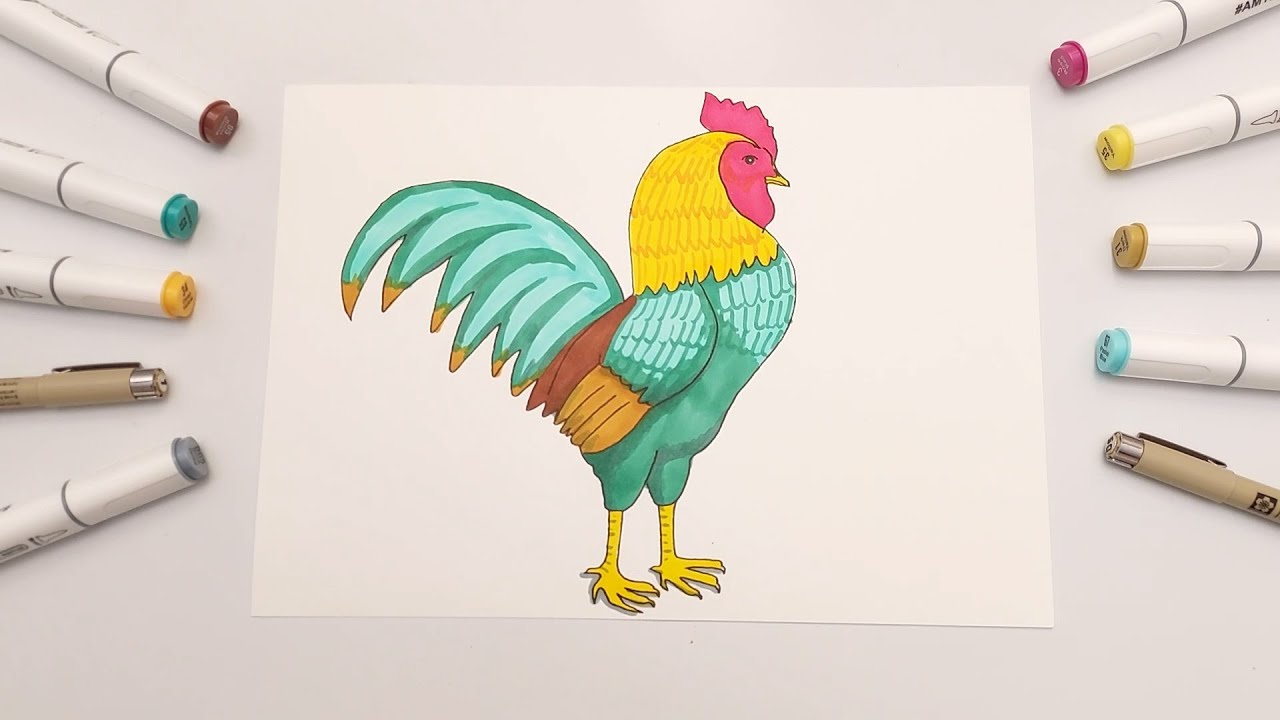 Learn to draw and paint a Rooster