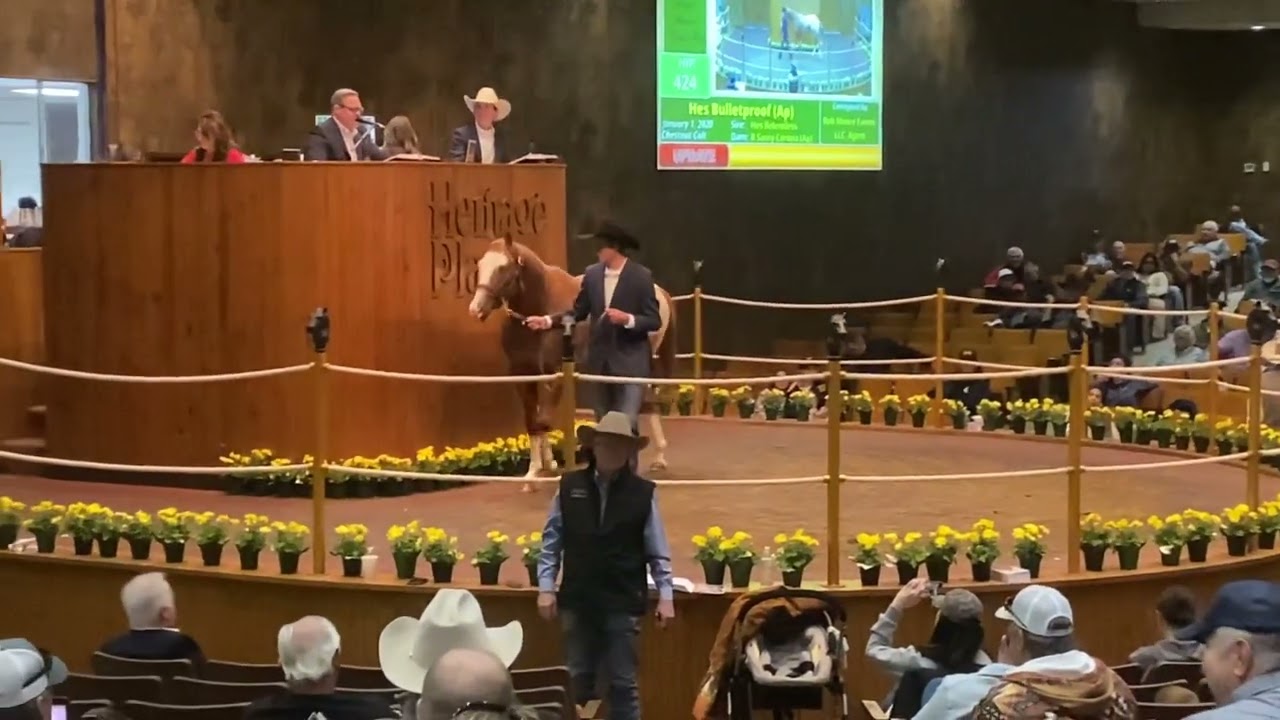 Heritage Place Sale Hes Bulletproof $200,000 Appaloosa Stallion 01/20/2023