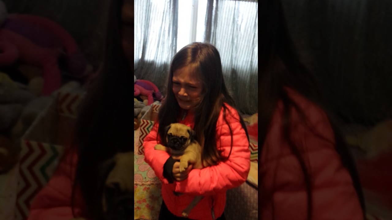 Ella's pug surprise
