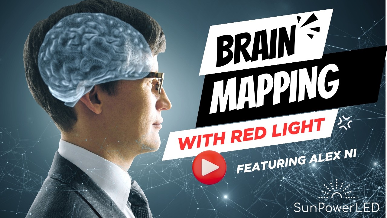 Your Brain on Red Light  -  Brain Wave Analysis