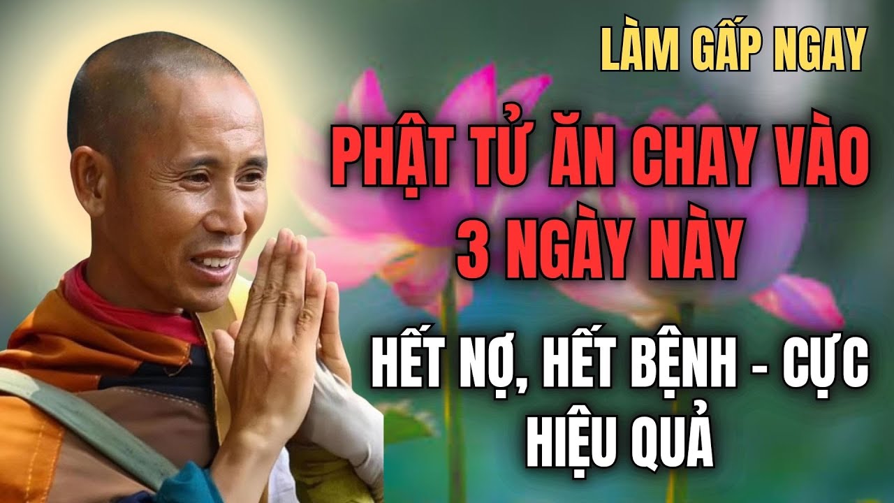 Thầy Thích Minh Tuệ Tiết Lộ: NIỆM PHẬT VÀO 3 NGÀY NÀY, NGHIỆP CHƯỚNG HÓA GIẢI, PHƯỚC BÁU ĐẦY NHÀ
