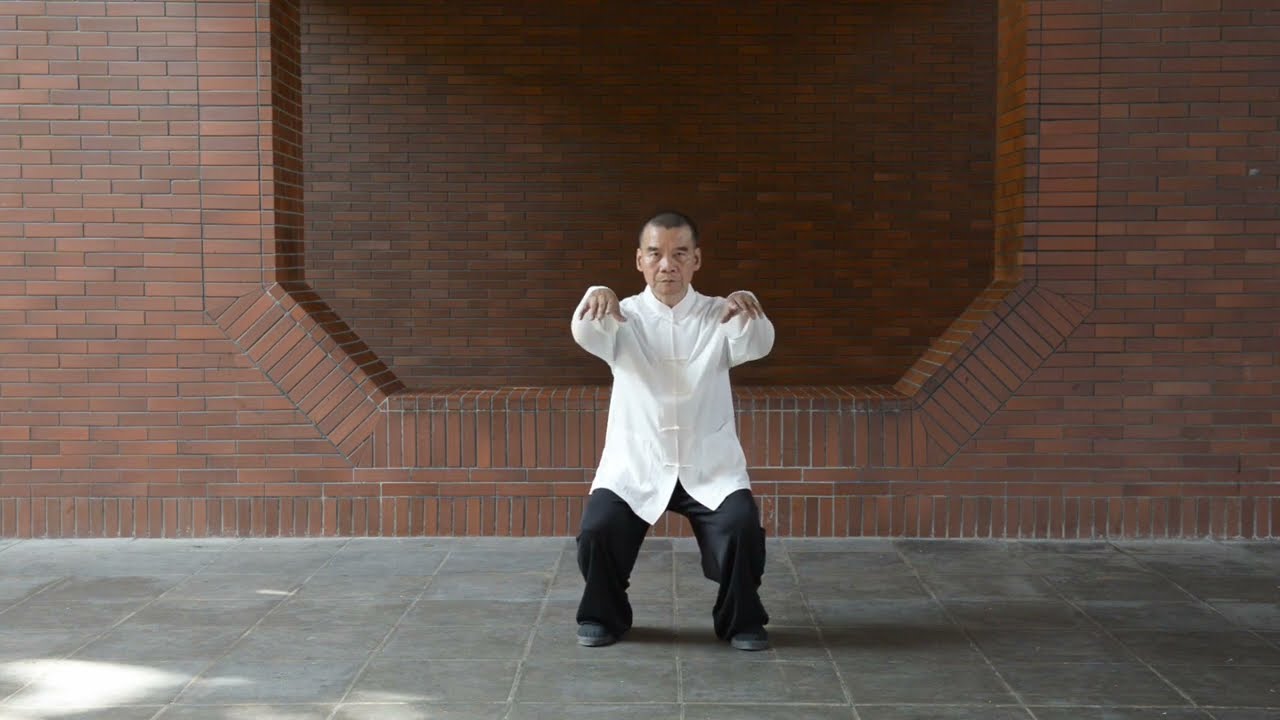 熊門楊家太極拳十三勢