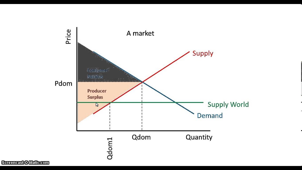 Tariffs and the Impact of Tariffs on a Domestic Market