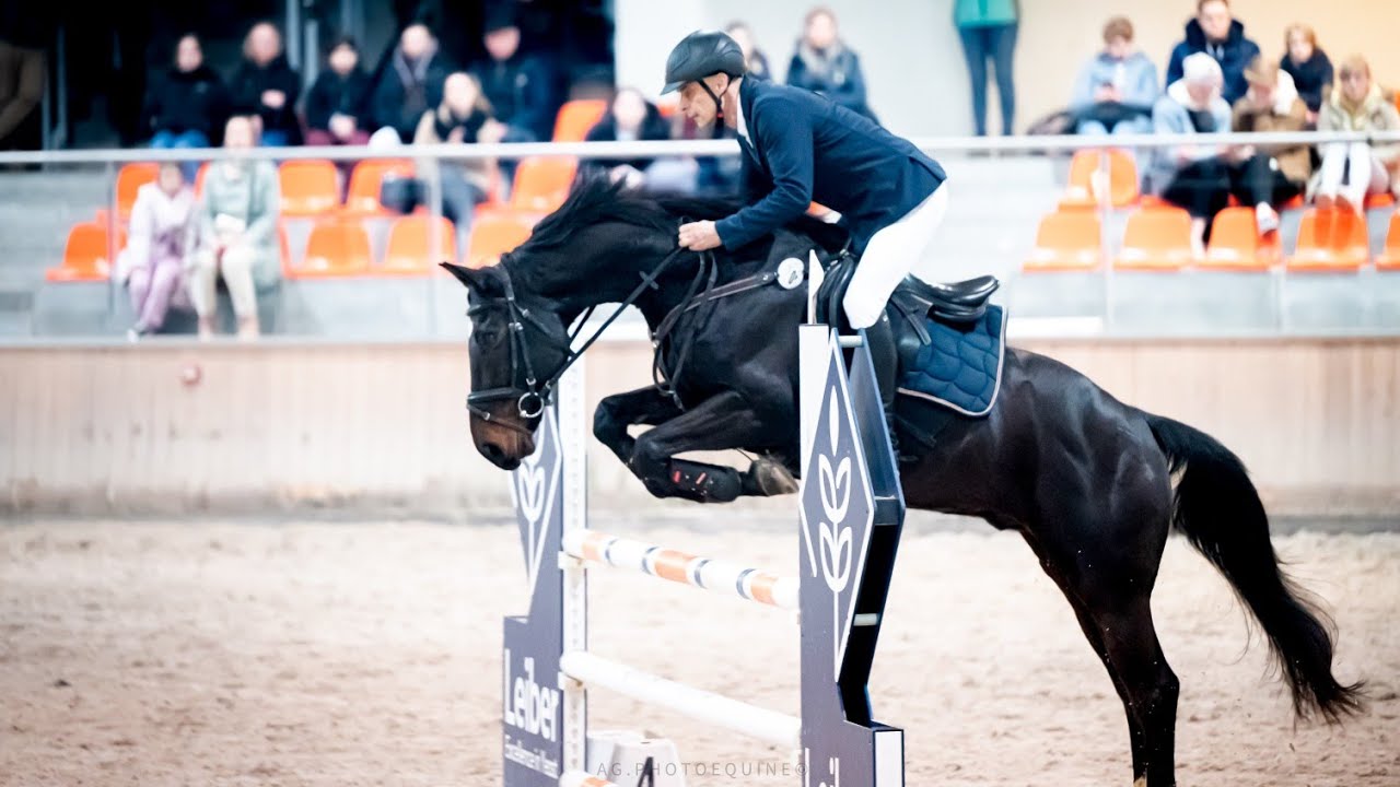 🐎 zawody konne | Hipodrom Sopot | Daniel Pietera | Kartago KM | 11.11.2023r.