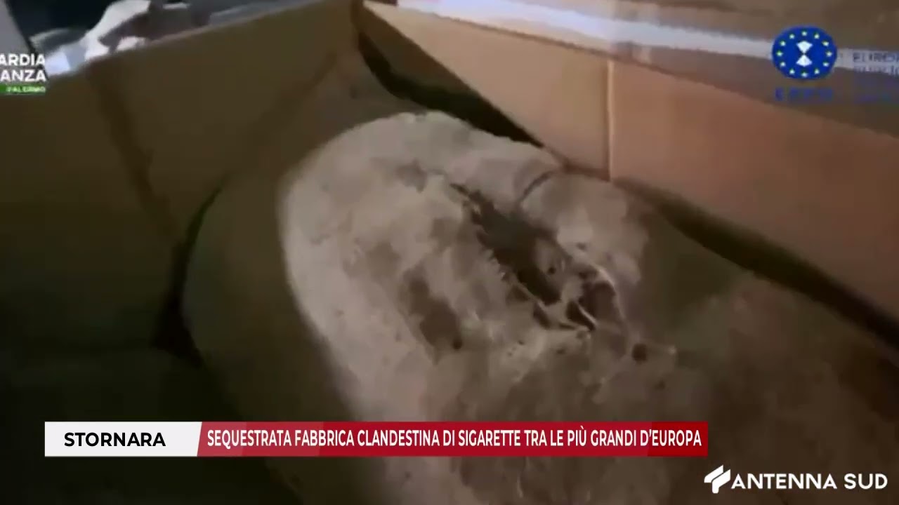 28 LUGLIO 2025 - STORNARA, SEQUESTRATA FABBRICA CLANDESTINA DI SIGARETTE TRA LE PIÙ GRANDI D’EUROPA