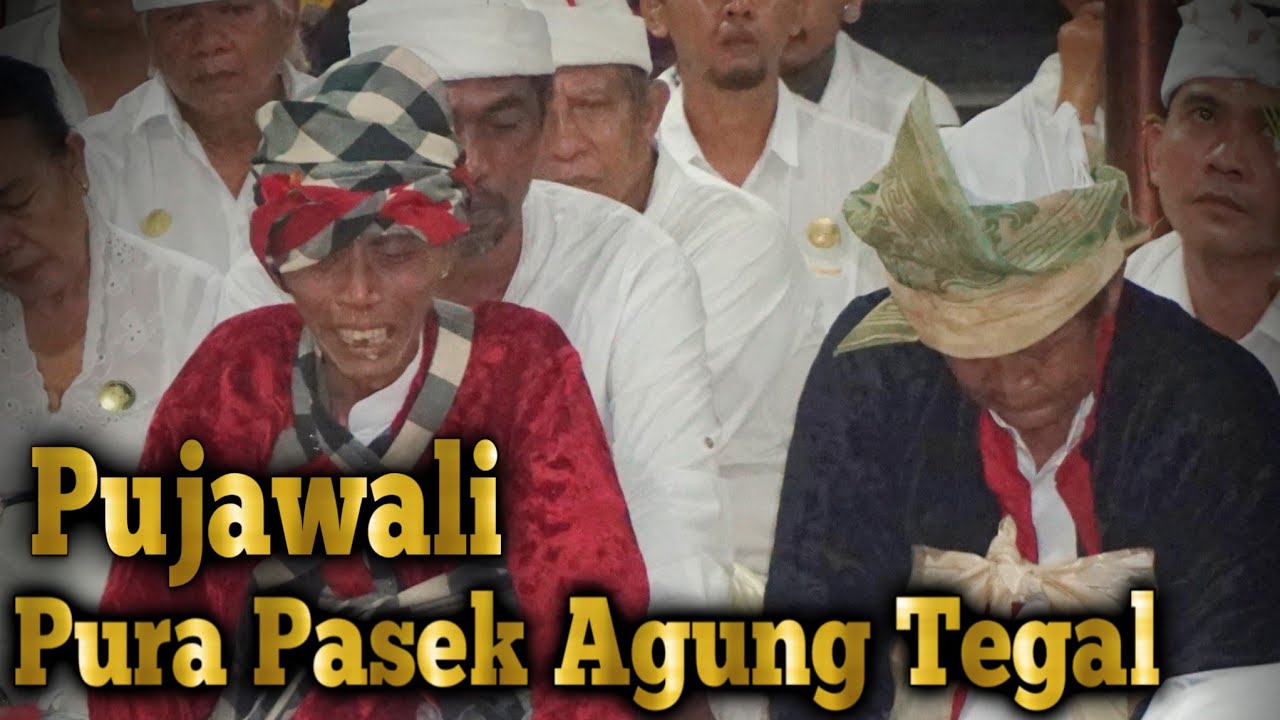 Pujawali Ring Pura Pasek Agung Tegal Pemecutan Denpasar 