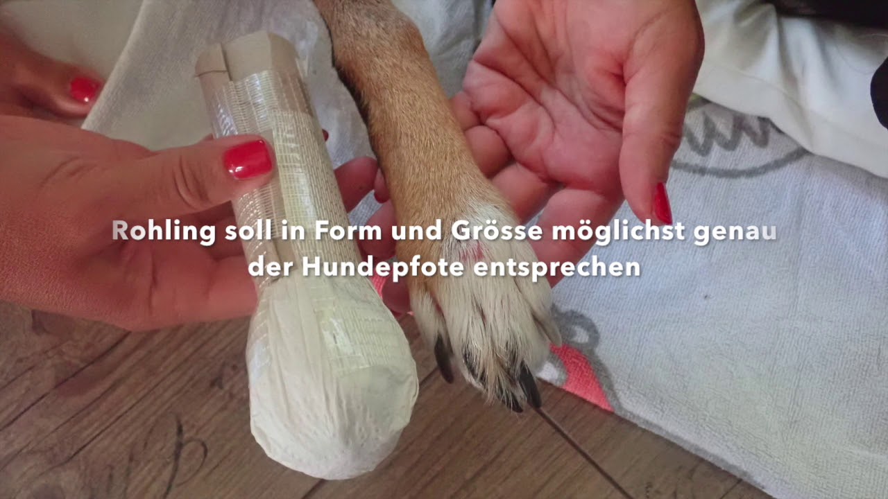 Hunde-Schuh herstellen