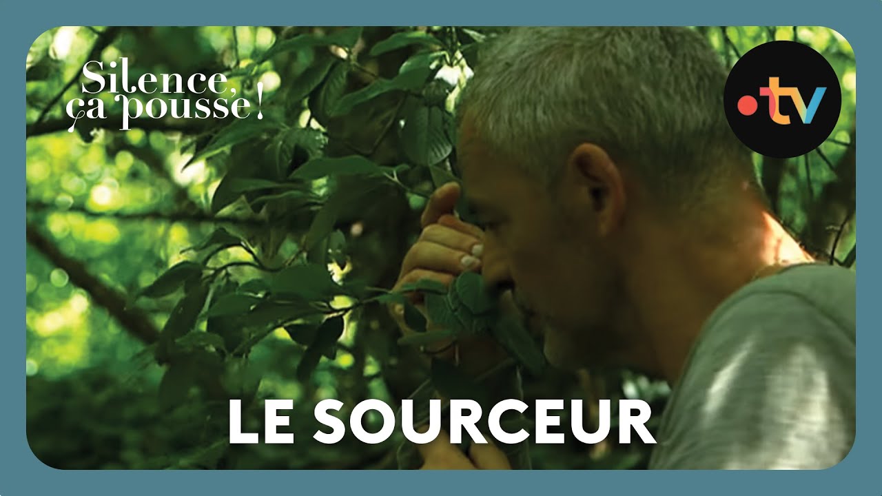 Le sourceur - Silence, &ccedil;a pousse !