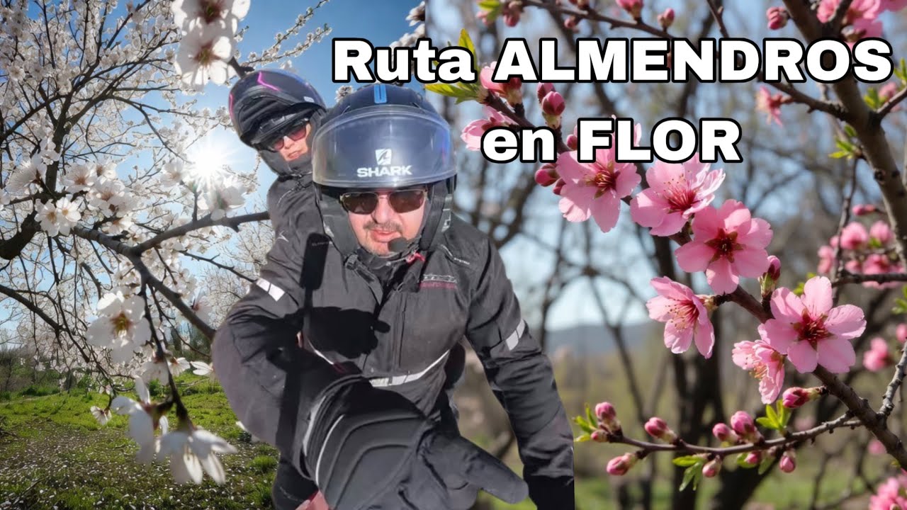 Ruta secreta de los Almendros 🌸🏍️ en Alicante (no es lo que esperábamos)