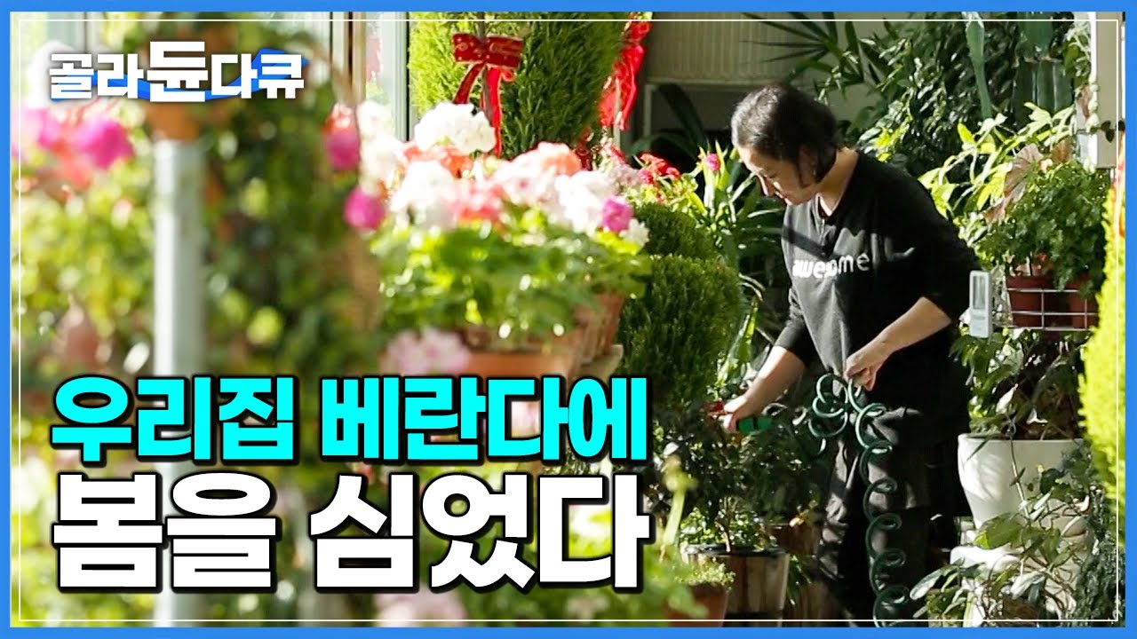 사계절 내내 늘 푸른 봄🌼 아파트 베란다에 지은 나만의 작은 정원┃가족처럼 소중한 식물과의 한 집 살이┃하나뿐인 지구┃#골라듄다큐