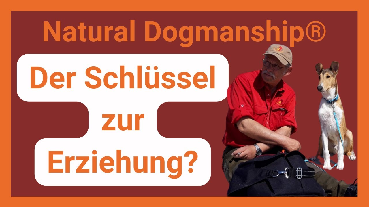 Natural Dogmanship®: So verändert es deinen Blick auf Hunde!