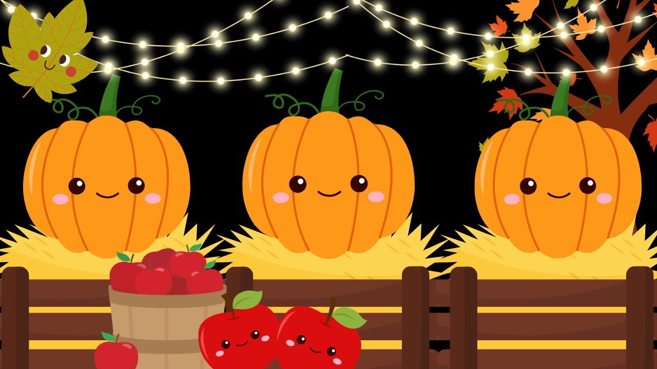 Pumpkin Patch Peekaboo Fall Baby Sensory Video | High Contrast | Visual Stimulation Soothing Music