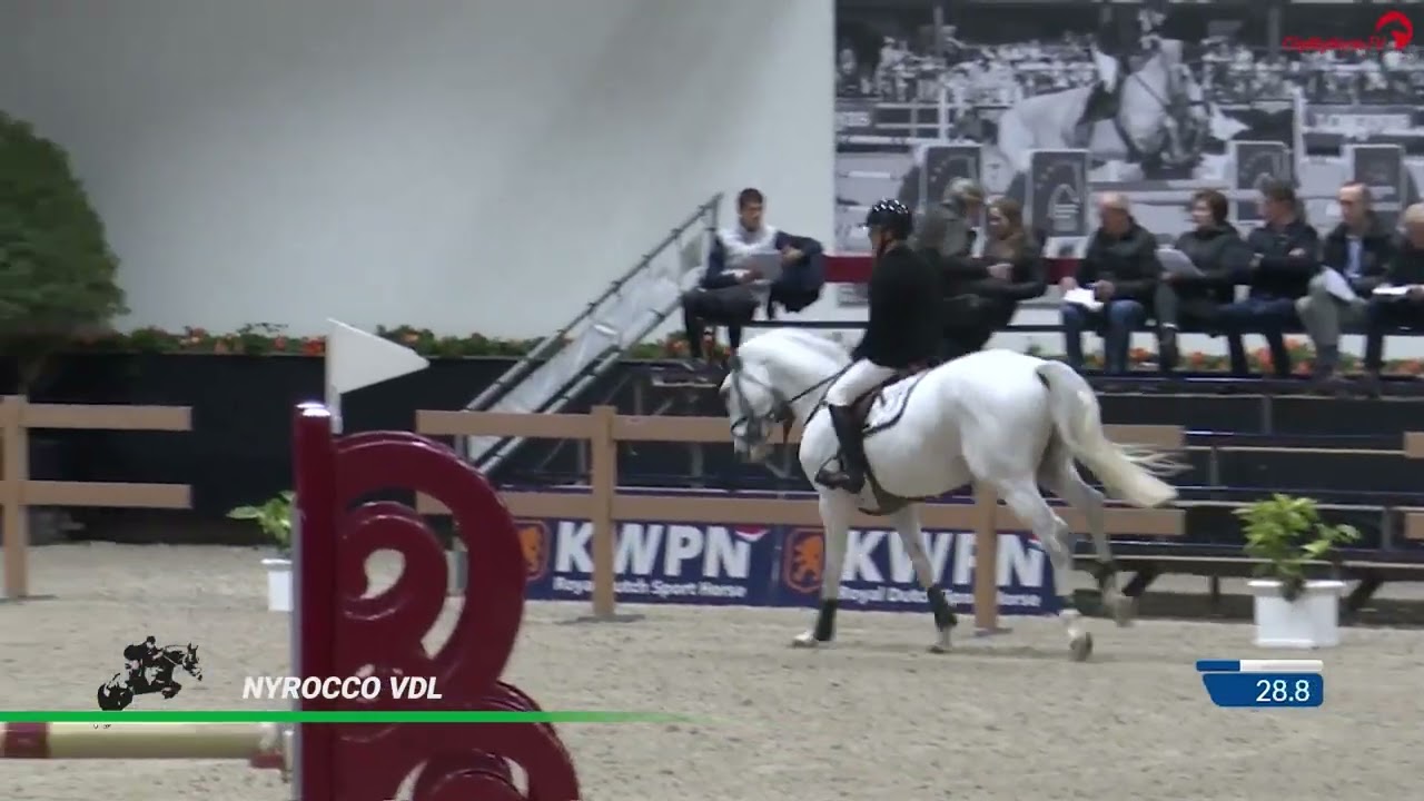 Nyrocco with Suzanne Tepper Stallion Competition Peelbergen 2023