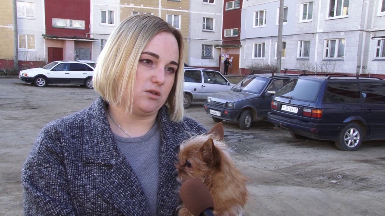 Плюс Вы 31 03 2017