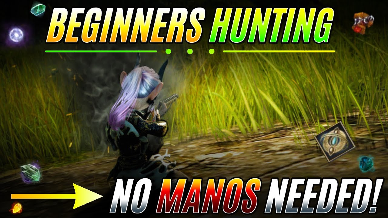 How To Matchlock Hunt In Black Desert: Easy & Cheap Tips For Beginner Hunting