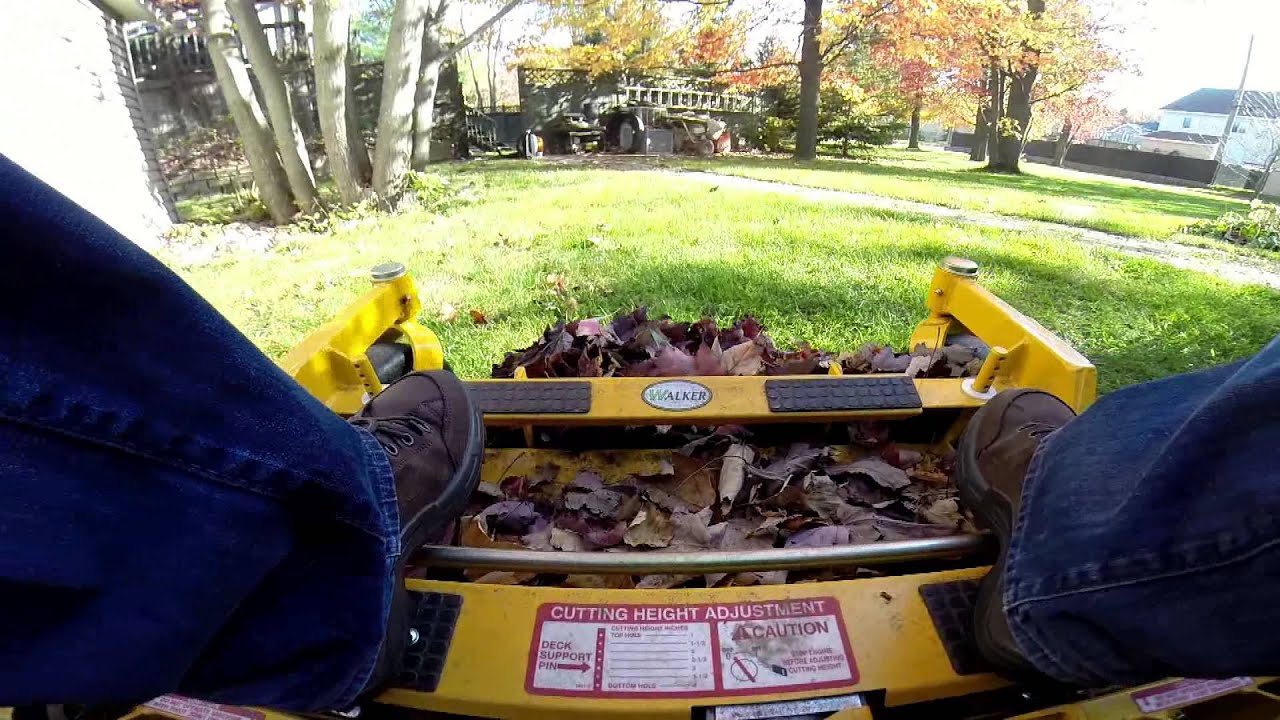 Tracteur Walker Mowers en action dans le ramassage des feuilles