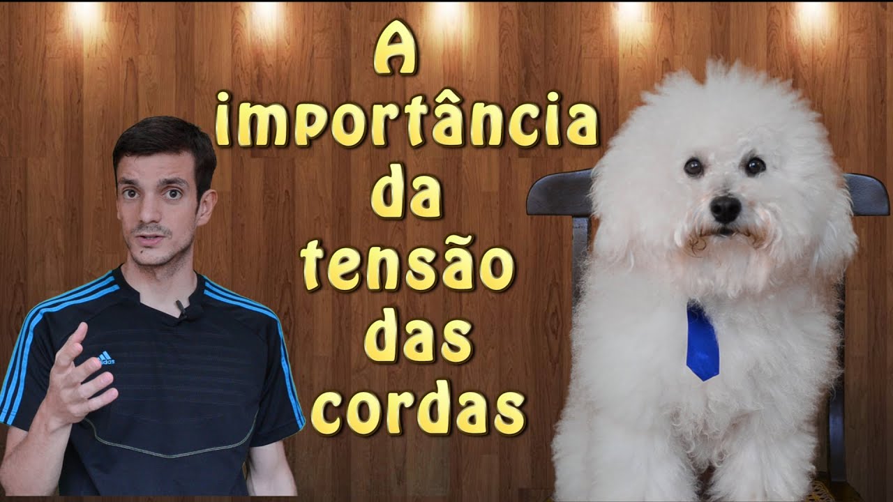 A importância da tensão das cordas na sua raquete.