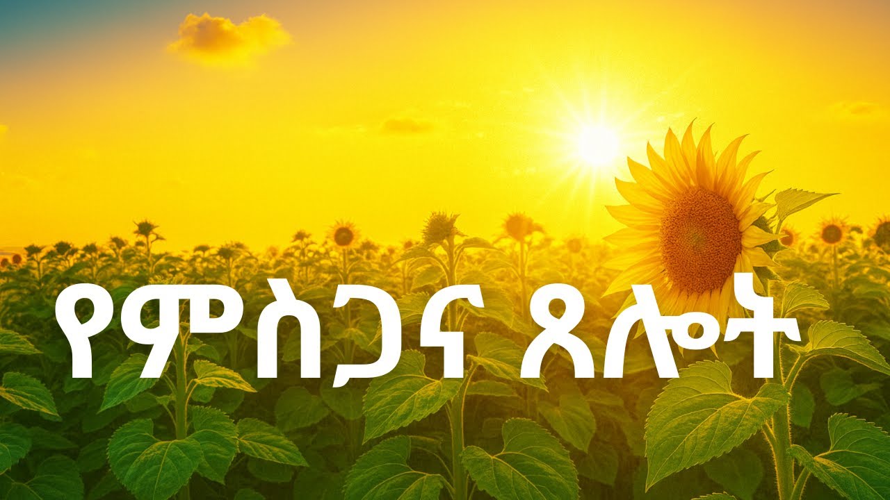 የምስጋና ጸሎት (yemisgana tselot) &ndash; Amharic for prayer
