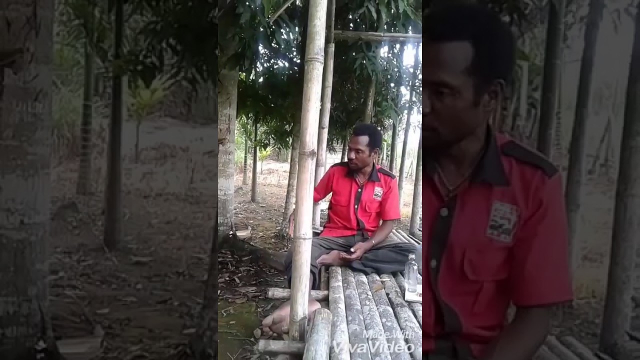 Isi kolekte (mop papua)