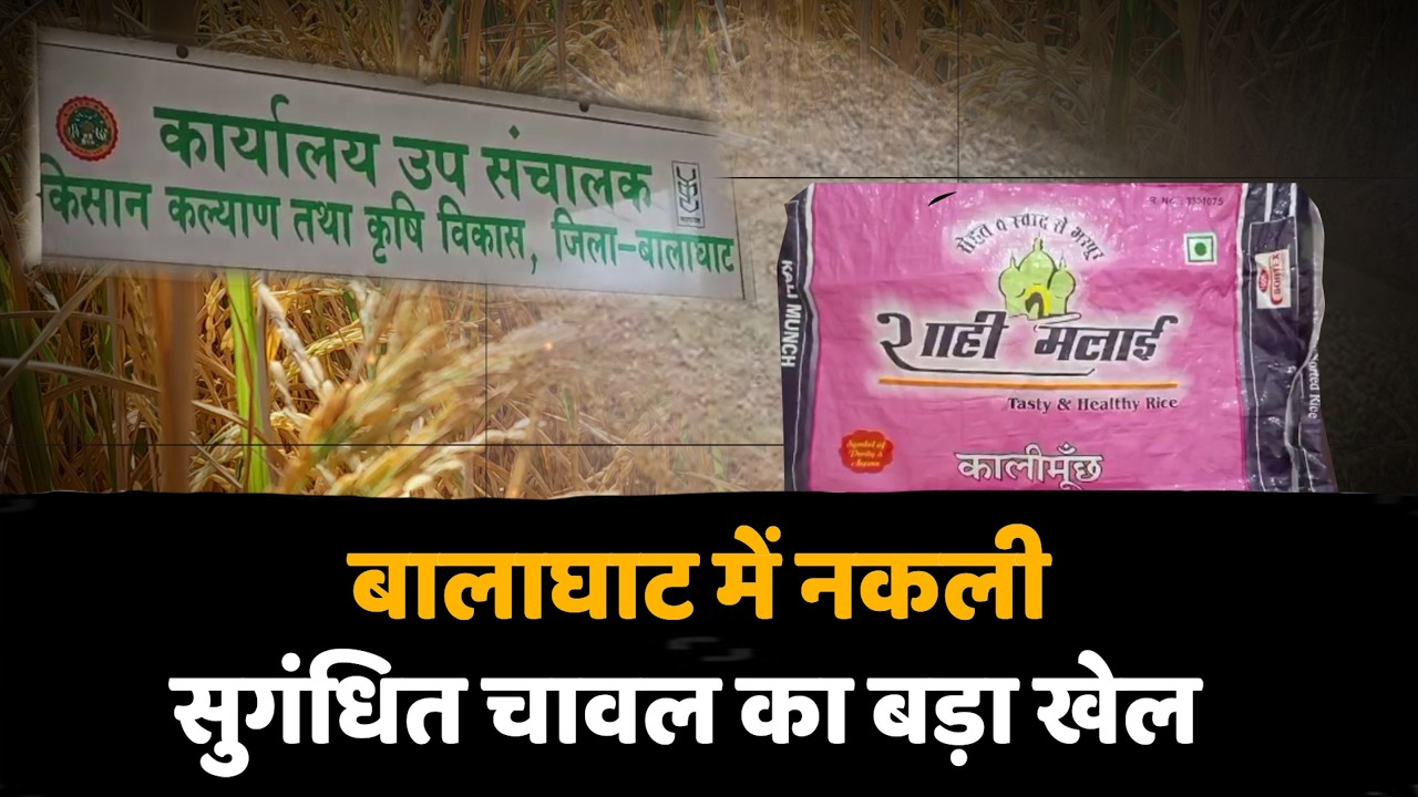 बालाघाट में नकली सुगंधित चावल का बड़ा खेल