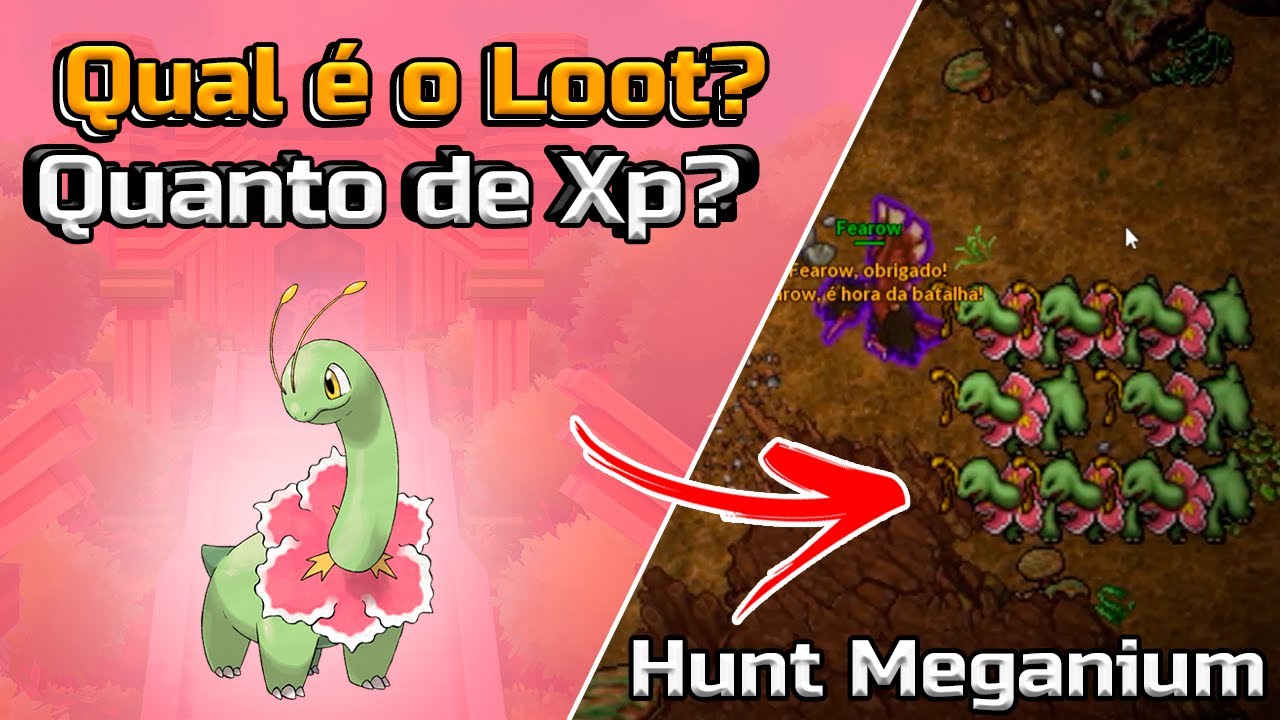 PXG - Hunt Meganium , Qual o loot , Quanto de Xp , Vale apena ?