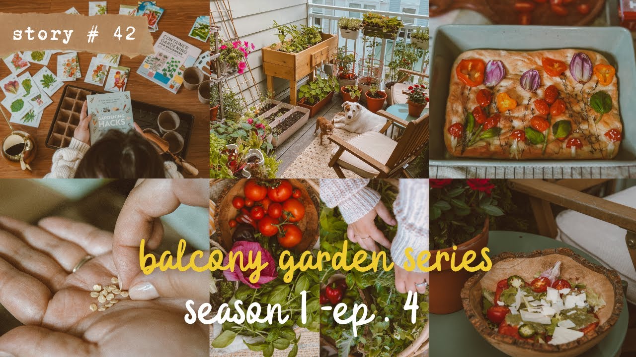 👩🏻‍🌾From SEED to TABLE | Small BALCONY Container Vegetable GARDEN | The Final Harvest | S1 PART 4