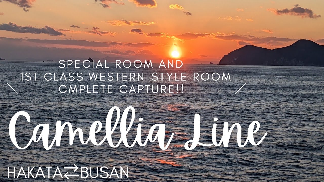 【Must see! 】Camellia Line Hakata Port - Busan Port Normal service resumed , complete capture