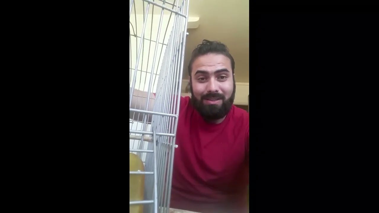 نعطيكم سر لمن يريد كسب مقنين تغريده متنوع وعالي / الف جام للفيديو