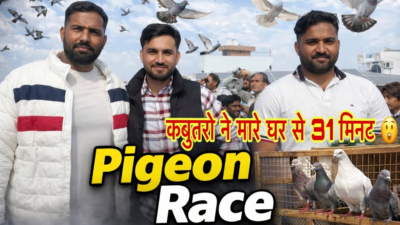 Ajju Bhai Ambala Ka Kabuutro ka kiya Behtreen Kam 😍