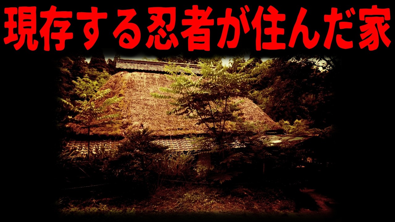 【甲賀忍者の家へ】信長を撃った忍者とは？