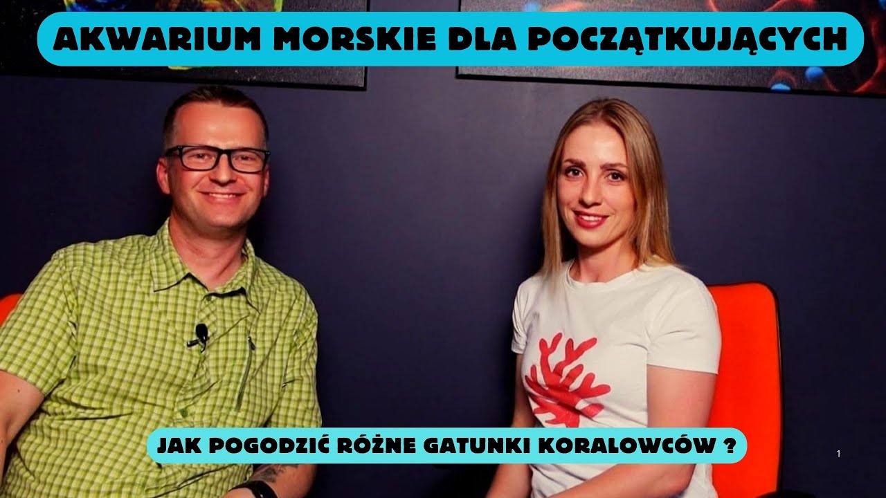 Akwarium morskie dla początkujących. Jak pogodzić r&oacute;żne gatunki koralowc&oacute;w ?